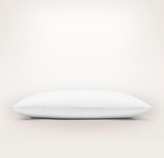 Pillow Insert